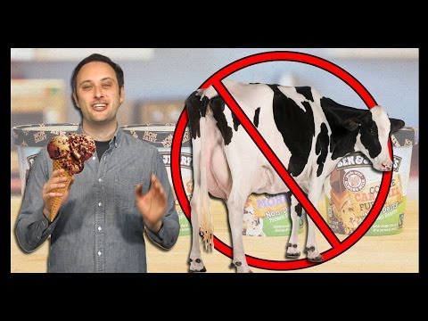 Vegan Ben & Jerry's!!! - Food Feeder