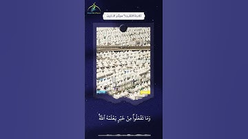 الْحَجُّ أَشْهُرٌ مَّعْلُومَاتٌ || القارئ : هيثم الدخين || آيات الحج