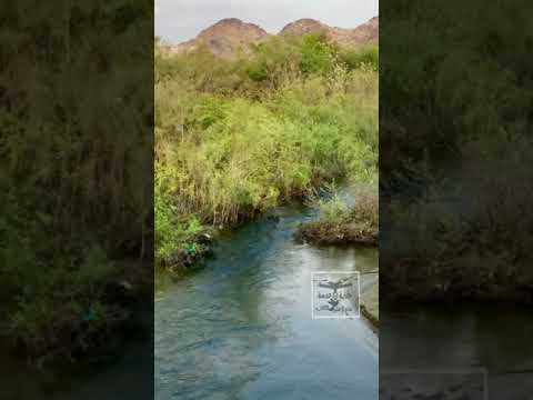 صالح خيري عرفك تهامي طبيعة سد وادي حلي