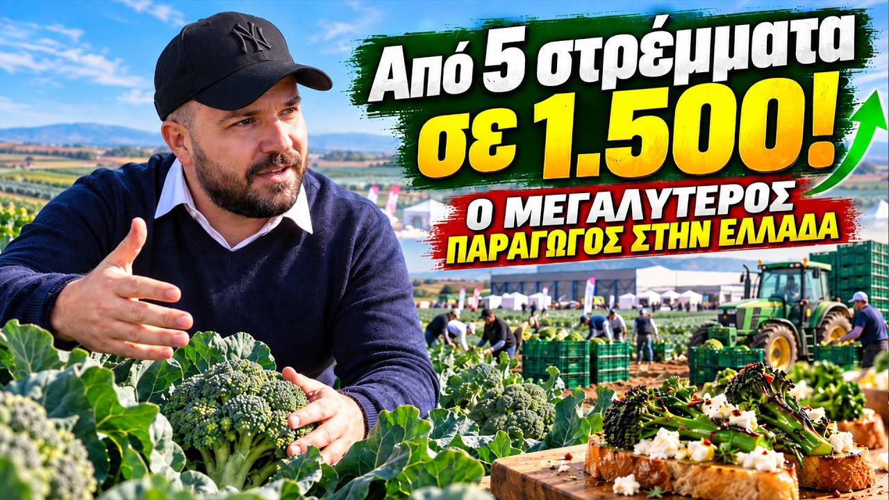 Από 5 στρέμματα σε 1.500! Ένας από τους μεγαλύτερους παραγωγούς μπρόκολου στην Ελλάδα – Video