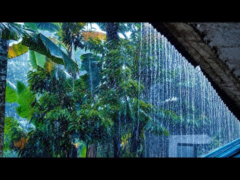 Extreme Tropical Rain on the Roof: Authentic Rain Sounds for Deep Sleep & Stress Relief