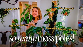 chatty plant chores! 🪴✨ | moss pole extensions & repots