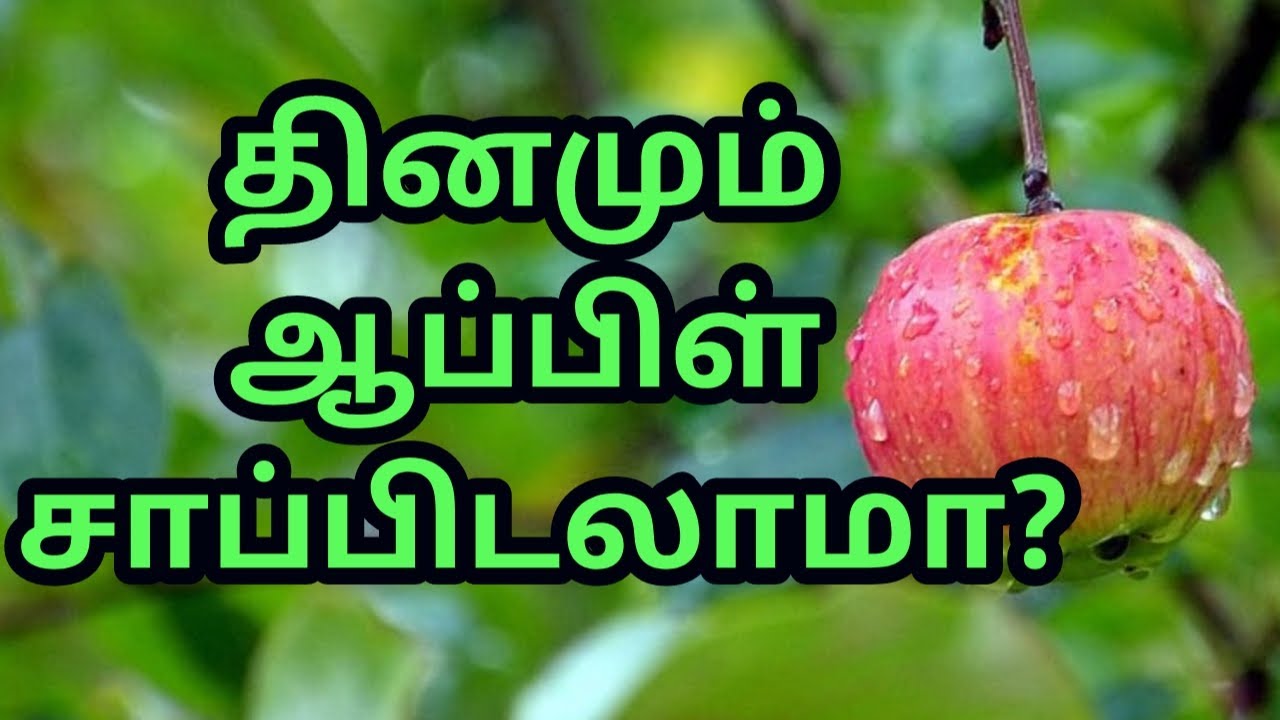 I Apple I Apple plum-fruit-ooty-apple-shorts-youtube