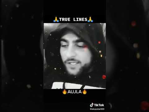 Karan Aujla Best Sayari Dialogue Whatsapp Status Video | Karan Aujla Status | Check Description