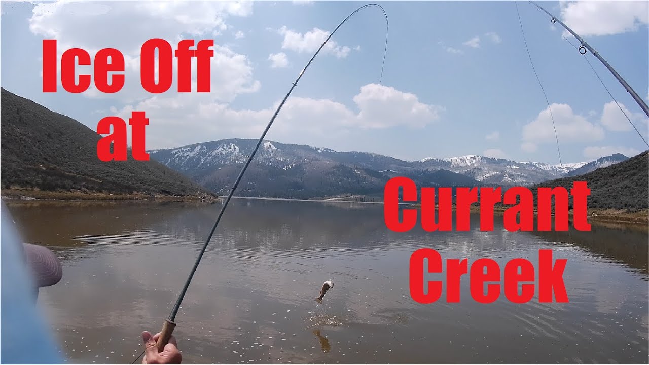 Ice off fishing at Currant Creek reservoir. YouTube
