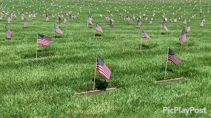 Memorial Day 2021- Jacqueline Downey