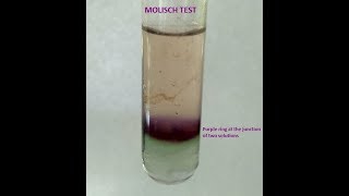 Molisch Testa group test  for Carbohydrates