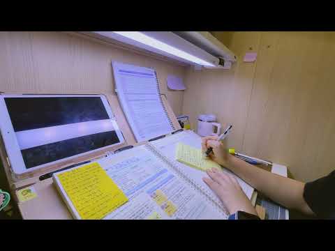 260626 유아임용 D-141