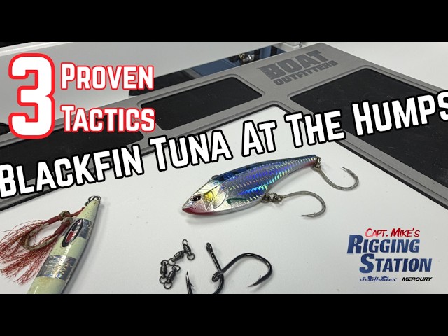 best fish lure My Top Five Bass Lures  Texas Kayak Fisher