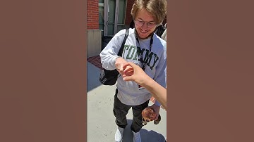 1 day with Aurora Apex on ALGS 2024 Split 1 Playoffs LA