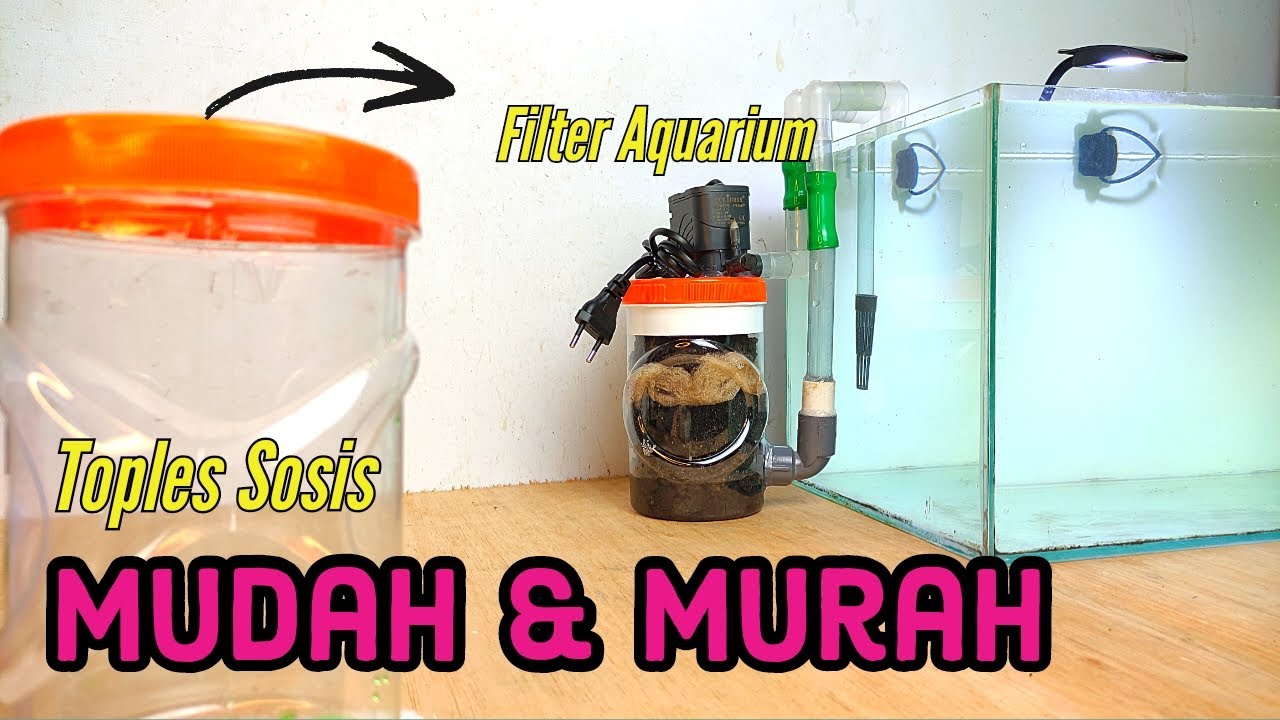 membuat filter aquarium sederhana mudah dan murah