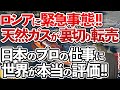 【ゆっくり解説】まさかの裏切り⁉ロシアの安い石油や天然ガスが友好国から欧州に転売されていた事が判明‼ようやく世界が日本に注目‼【海外の反応】