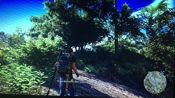 Ghost Recon Wildlands Blurry trees when moving