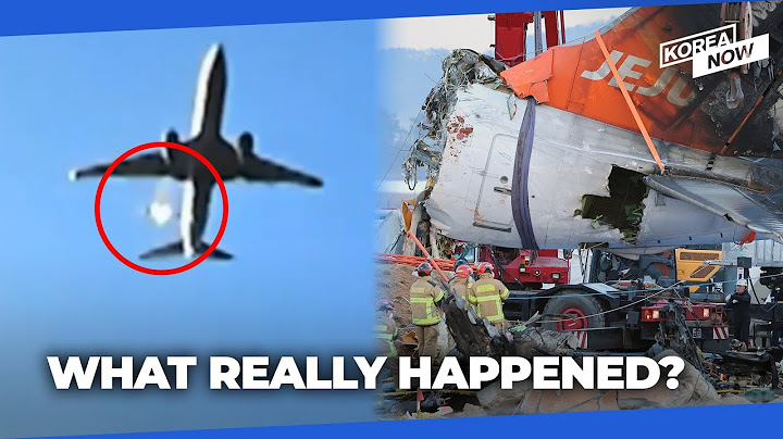 S. Korea releases first official findings of Jeju Air crash
