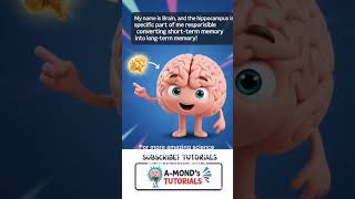 CONVERSION OF SHORT TERM MEMORY INTO LONG TERM MEMORY #amondstutorial #science #kids #brainblog