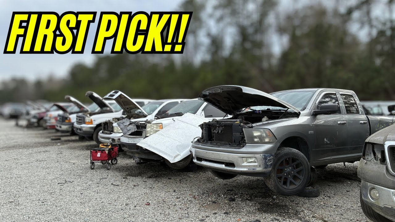 Fresh Trucks Just Hit the Junkyard… I Got There First!