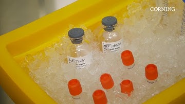 Corning Matrigel® Matrix® for Organoid Culture Dome Method Protocol