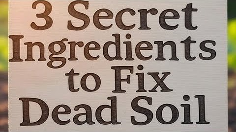 3 Ingredients to Fix Dead Soil -  This Is The Best Soil Solution For Beginners