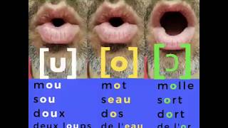 French pronunciation: les voyelles [u]  [o] & [ɔ] Free French phonetic lesson screenshot 4