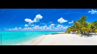 Best All Inclusive Resorts In The Maldives 2023. Discover All Inclusive Resorts In The Maldives!