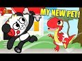 COMBO'S FIRST PET ! Combo Panda Learns to Care for a Baby Dinosaur Shelldon