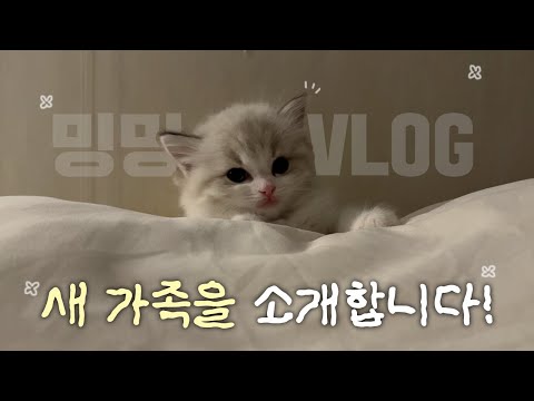 Introducing Ming-ming :)