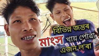 বিভিন্ন জন্তুৰ মাংস খায় পোৱা এজন ল'ৰা || Natun Din || Chandubi lake ||