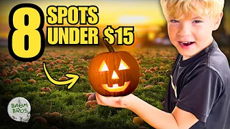 Discover 8 Budget-Friendly Pumpkin Patches Near Omaha This Fall!