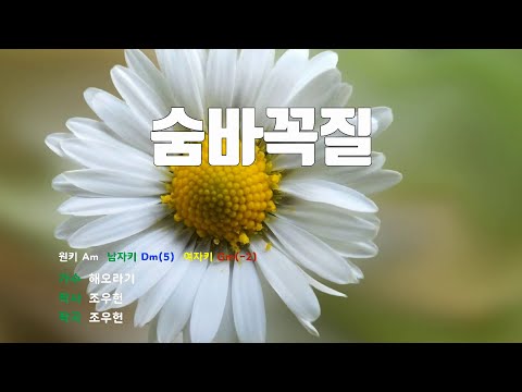 [은성 반주기] 숨바꼭질 - 해오라기