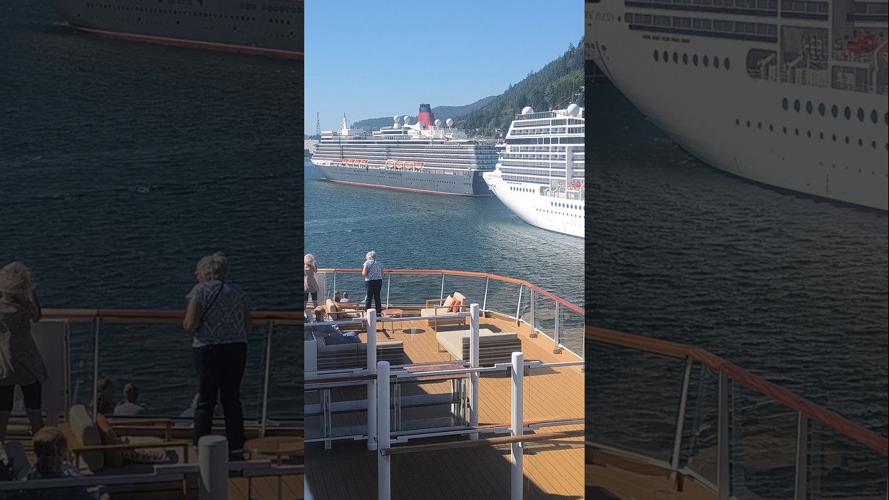 make it 1 K subscribe please ..# #cruiseship #shortsfeed #cruise #shortvideo #travel
