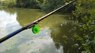 видео: Рыбалка на поплавок лето 2025| картинка: Рыбалка на поплавок лето 2025|