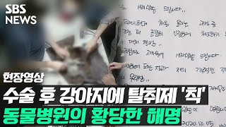 Deodorant Sprayed on Dog After Surgery... Outrageous Explanation from Vet (On-Site Video) / SBS