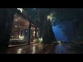 Deep Sleep with Forest Rain | Gentle Thunder &amp; Peaceful Night Ambience