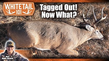 Tips on Having Your Deer Meat Processed