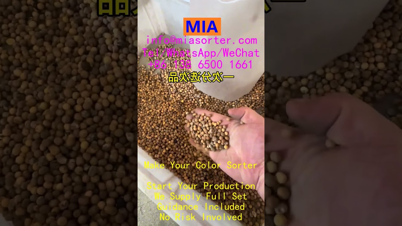 How To Produce A Color Sorter For Sorting Grains In Mexico Brazil India Turkey Spain Algeria Egypt