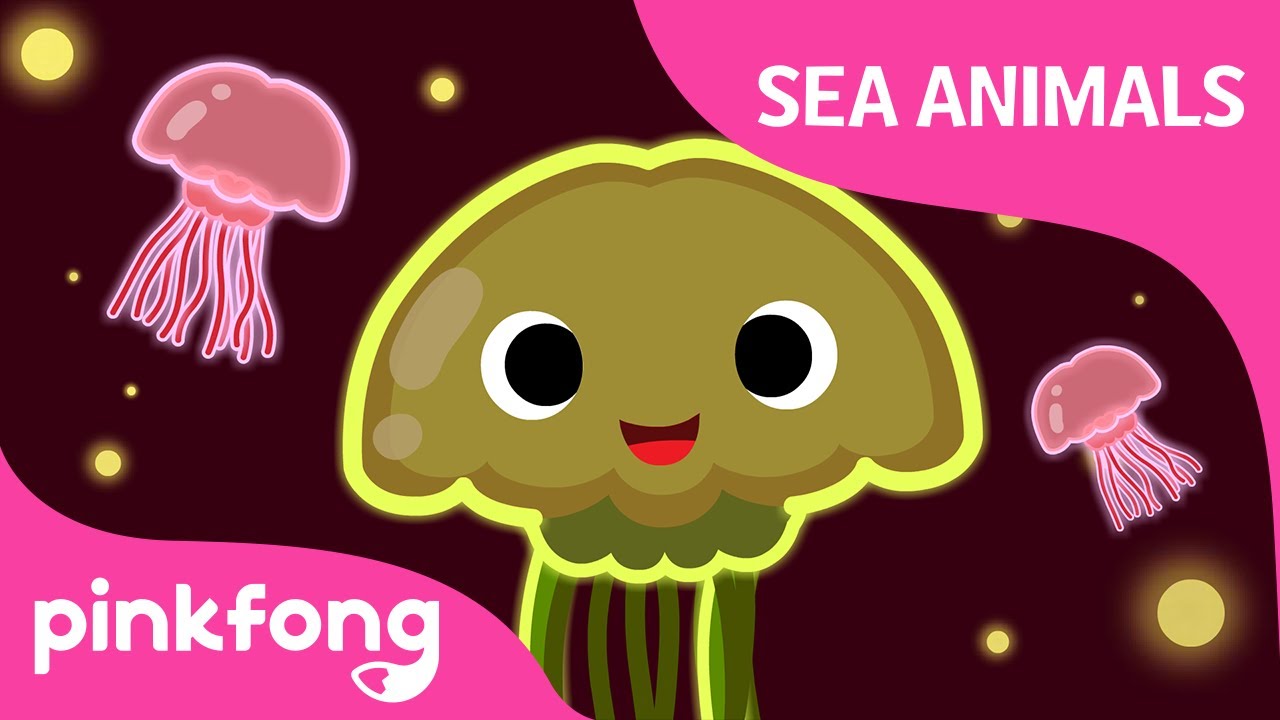 Wibble wobble, Jellyfish | Sea Animal Songs | Animal Songs | Pinkfong Songs for Children