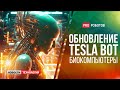 Что умеет обновленный Tesla Bot // Чип с живыми клетками мозга может чувствовать // Генная инженерия