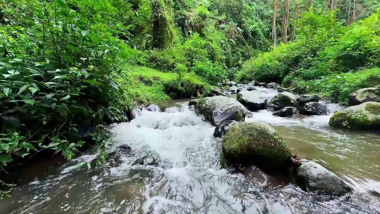 Soothing river sound under moonlit forest sky supporting deeper restful deep sleep tonight