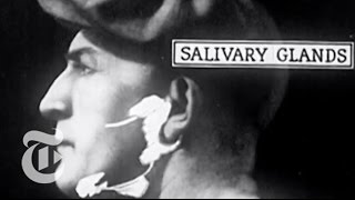 The Inside Scoop on Your Insides - A Mary Roach Interview