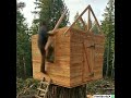 Timelapse building a shelter on a large tree stump in 3 minutes