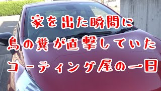 車に付いた鳥の糞を簡単に除去するコーティング屋の技【コーティング屋の 1日】