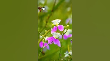 50 câu nói hay nhất từ cuốn sách "Đắc Nhân Tâm" của Dale Carnegie. #shortvideo #booktok #shotrs