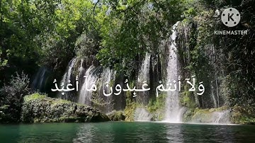Surah Al-Kafirun | سورة الكافرون | Omar Hisham Al Arabi