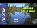 Русская рыбалка 4 - река Сура - Плотва на разные поводки