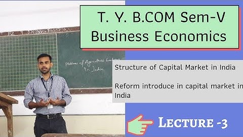 Structure of Capital Market in India | Tybcom sem 5 Business Economics | Mumbai University