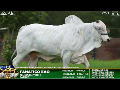 LOTE S51   FANÁTICO EAO   EAO B 9165