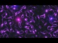 Abstract Light Trails | Neon Pink Liquid Particles | Cinematic VFX | 4K Seamless Loop | No Copyright