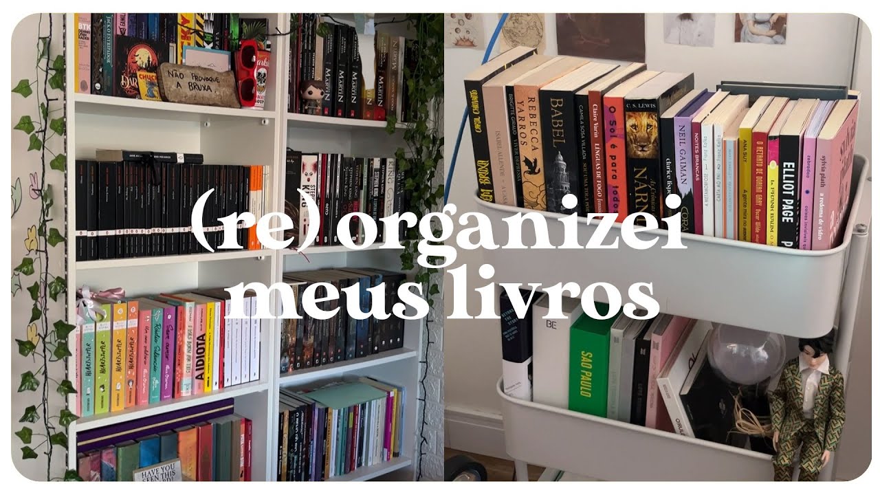 (re)organizei minha estante *de novo* 📚