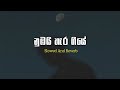 Nubai Hara Giye (තීරණේ නුඹේ තේරුමක් නෑ) - Jeewan Fernando | Slowed And Reverb