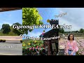 Gyeongju, Korea Overnight Trip Vlog | maymester diaries ep. 4